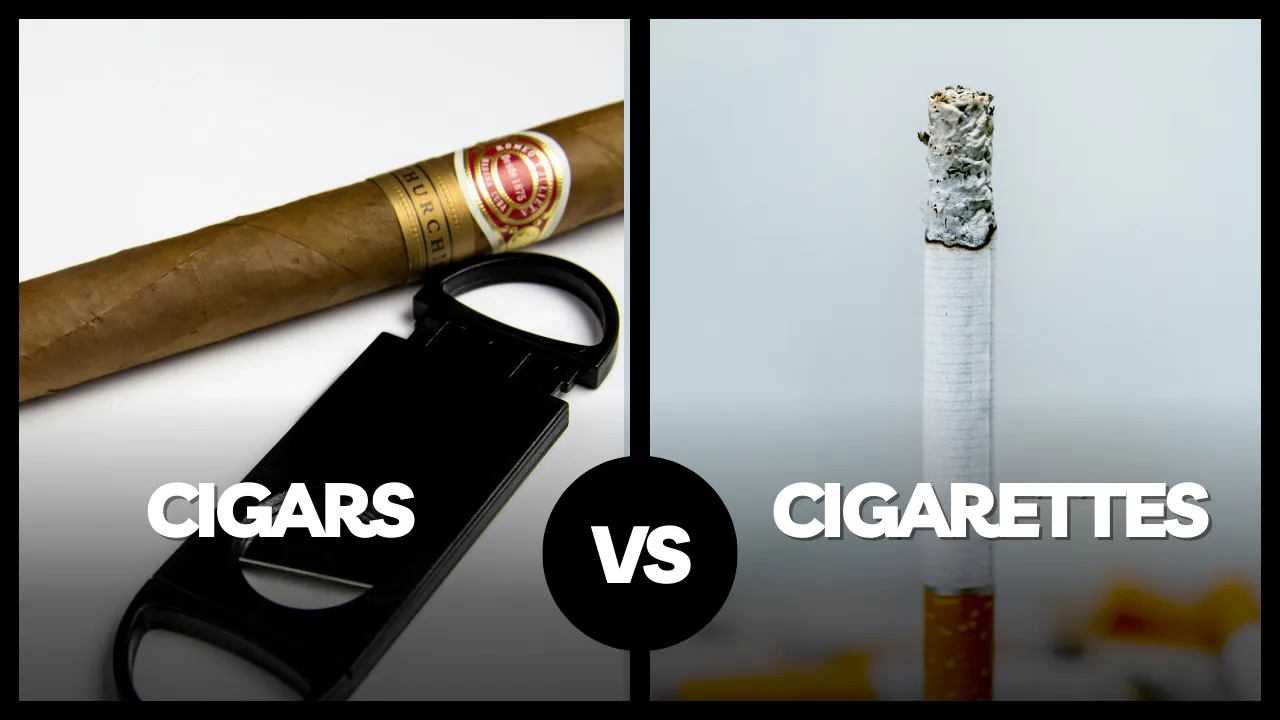 Cigars vs Cigarettes: Key Differences Explained